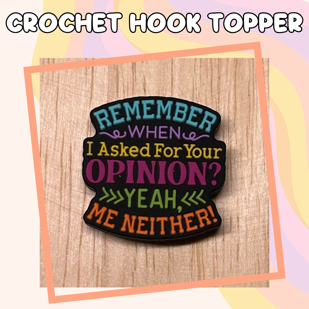 Remember When I Asked for your Opinion Crochet Hook