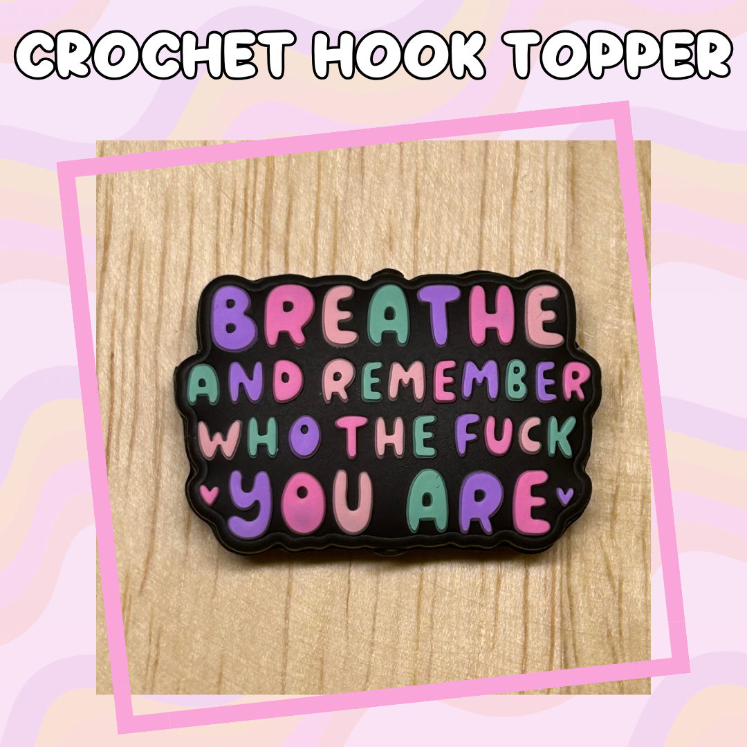 Remember who the Fuck you Are Crochet Hook